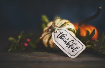 Photo of mini pumpkin with Thankful on tag used for Using Gratitude Attitude to Find Balance and Peace this Holiday Season page