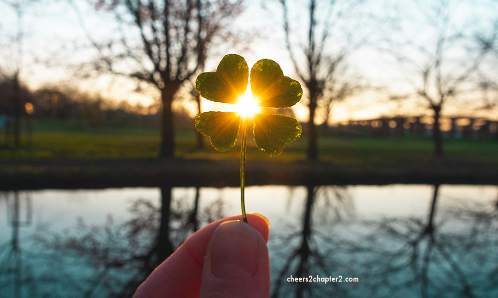 Law of attraction image of a four-leaf clover